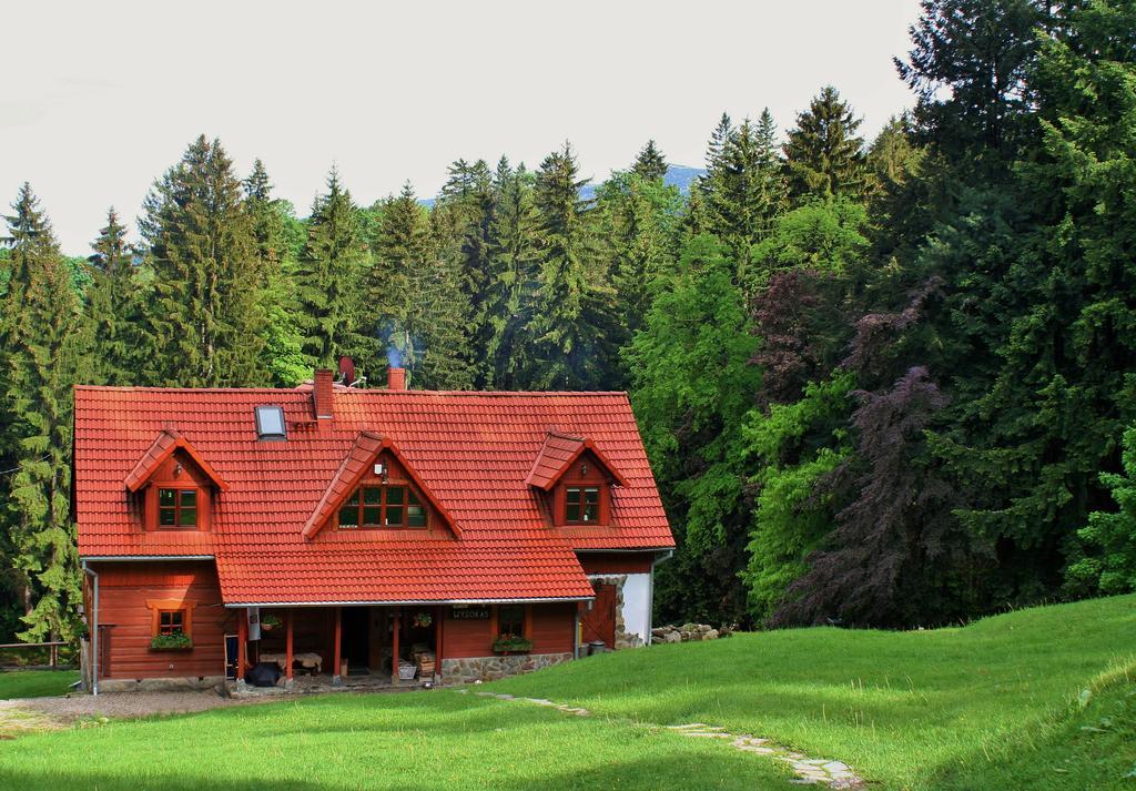 Ferienwohnung Wysoka 5 Schreiberhau Exterior foto